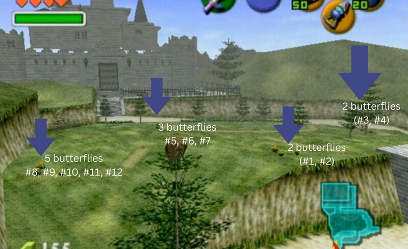 File:Butterflies HyruleCastle.jpg